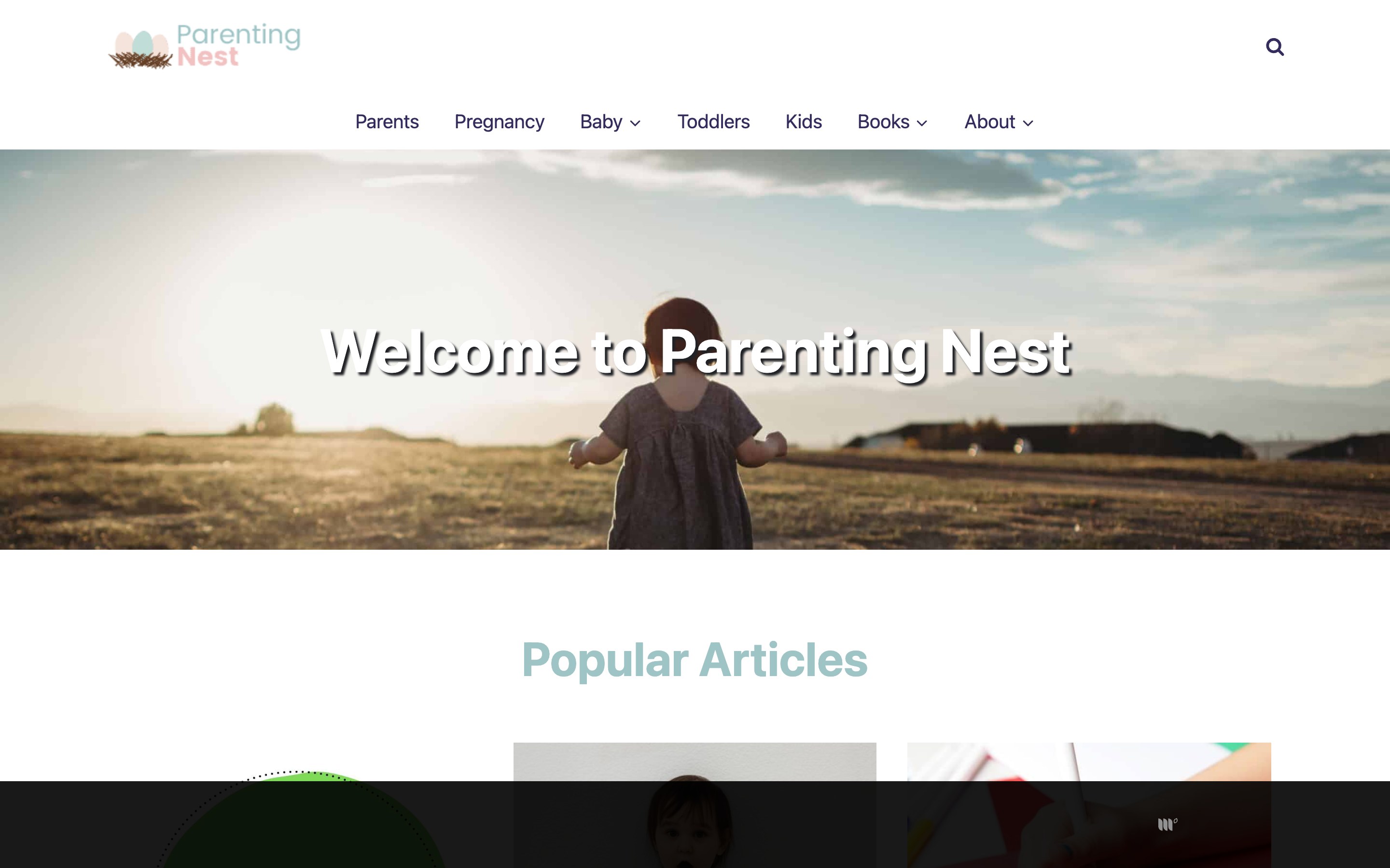 Parenting Nest's previous website — a generic blog template with a stock prairie photo and a cookie banner across the top